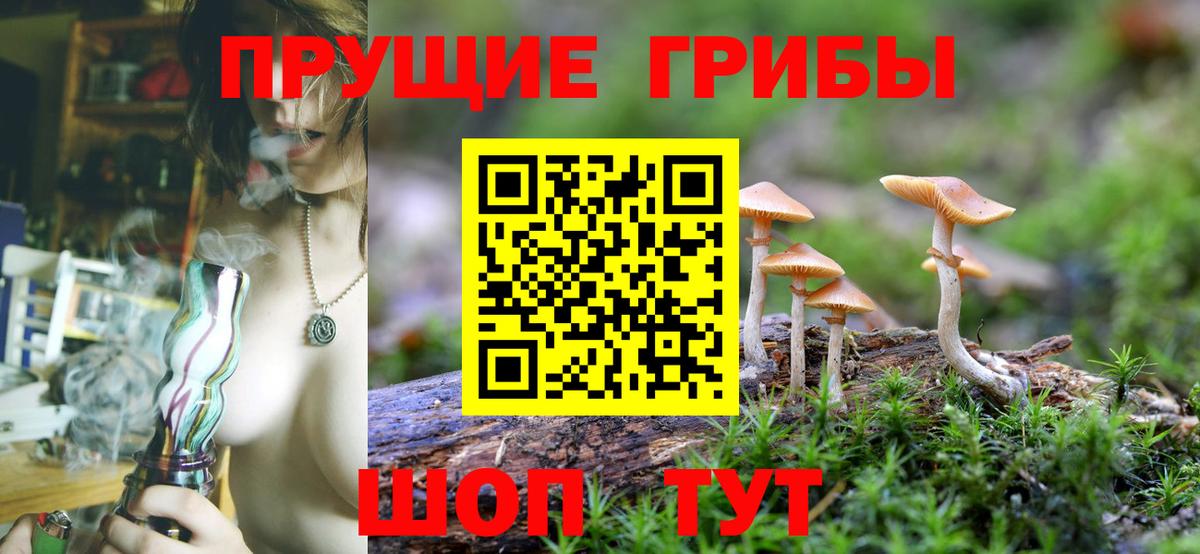 Нижнекамск  Псилоцибиновые грибы Psilocybe  Вход с VPN  Галлюциногенные грибы Magic Shrooms 